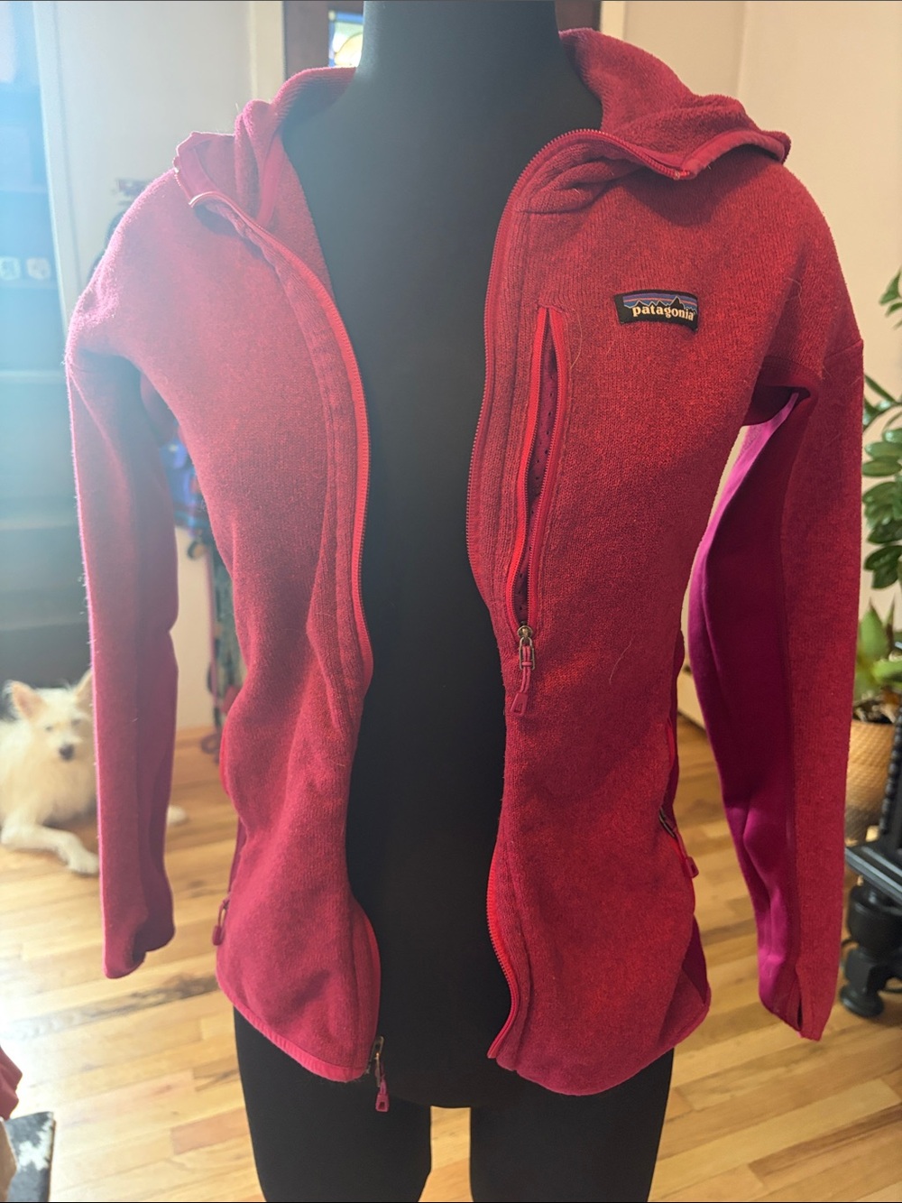 Patagonia Women's Red Hooded Fleece Jacket